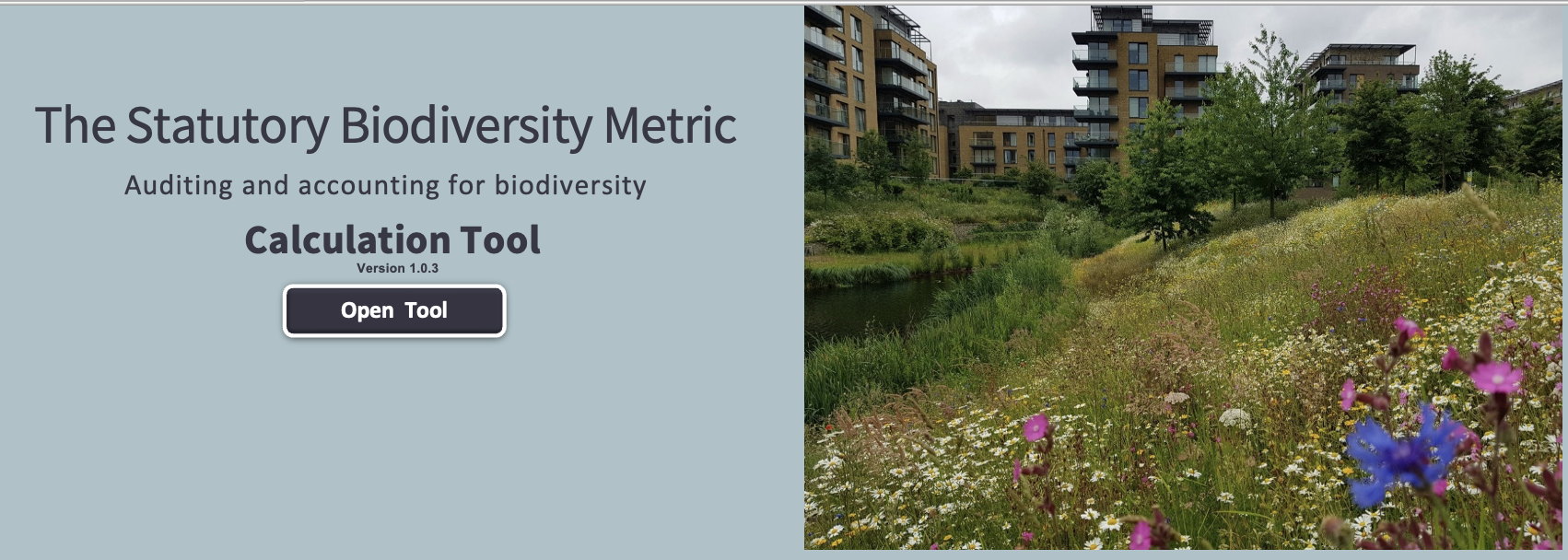 Statutory Biodiversity Metric